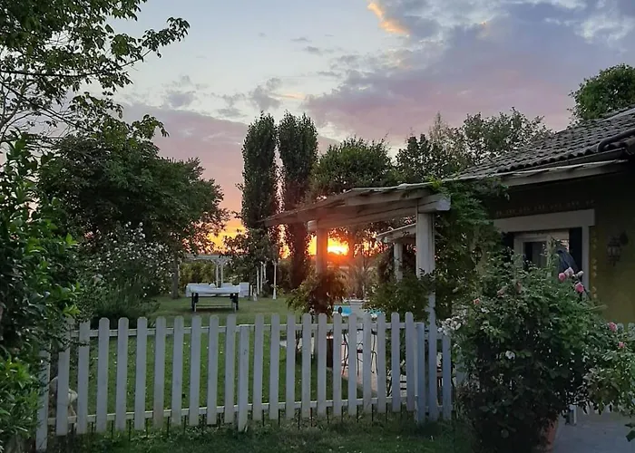 Abracadabra 拉文纳