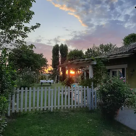 Abracadabra ראבנה