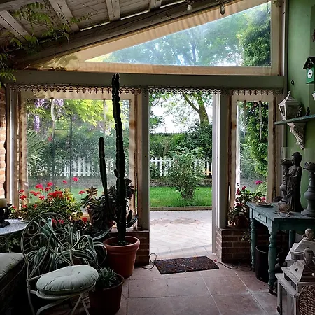 Abracadabra ראבנה