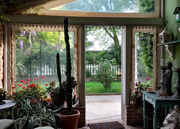 Abracadabra 拉文纳